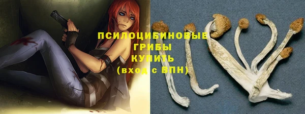 героин Покачи