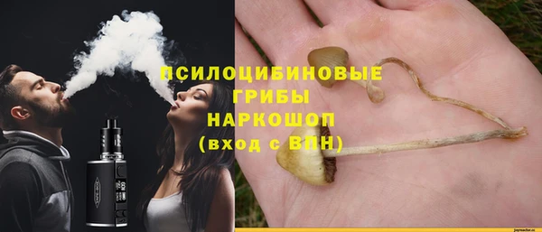 эйфоретик Алексин