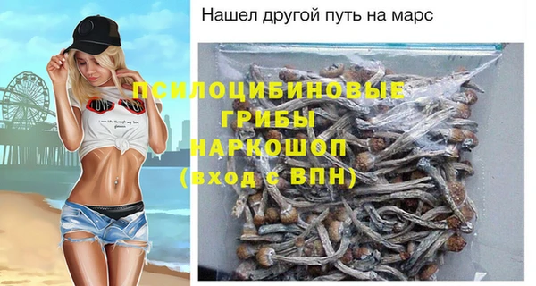 эйфоретик Алексин