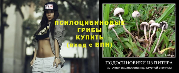 ГАЛЛЮЦИНОГЕННЫЕ ГРИБЫ Алексеевка