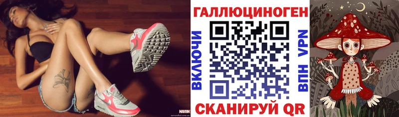 Галлюциногенные грибы Psilocybe  Мантурово 